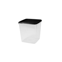 4.4 Litre Clear Food Container